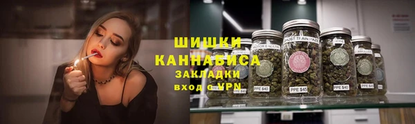 spice Вяземский