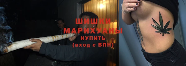 spice Вяземский